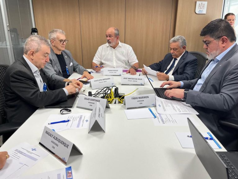 Leia mais sobre o artigo Reunião Extraordinária do Comitê de Planejamento do CDN em Belo Horizonte