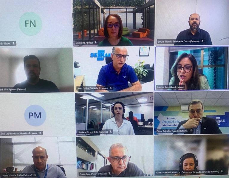 Leia mais sobre o artigo Reunião do Grupo de Trabalho de Metas Mobilizadoras e Cestas de Indicadores