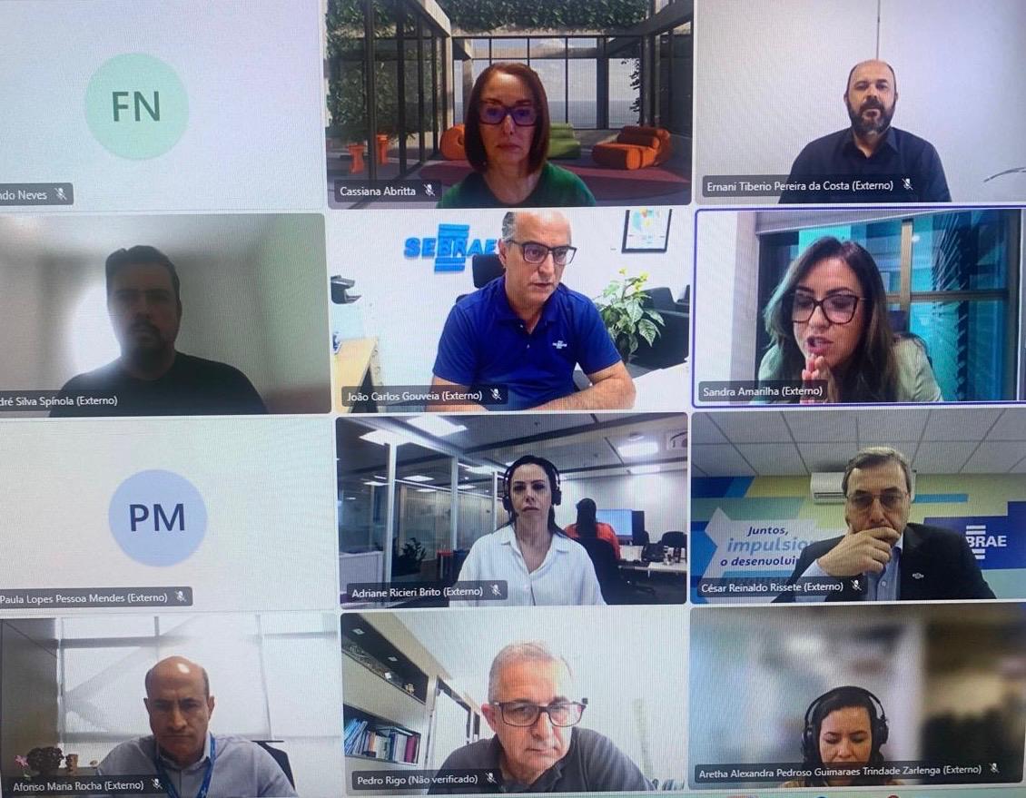 Leia mais sobre o artigo Reunião do Grupo de Trabalho de Metas Mobilizadoras e Cestas de Indicadores