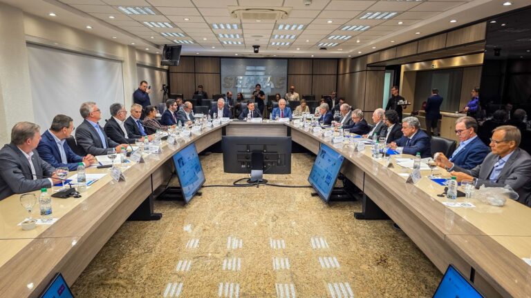 Leia mais sobre o artigo Reunião do CDN Pauta Plano Anual da Diretoria Interna